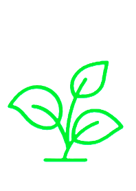 Misty Meadow Farms - Premium Houseplants & Garden Plants